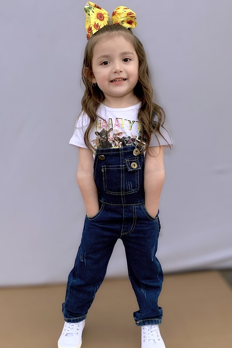Distressed Denim Overalls