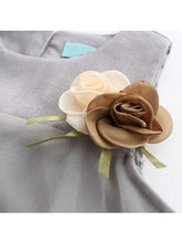 Load image into Gallery viewer, Sleeveless Mesh Princess Party Dress
